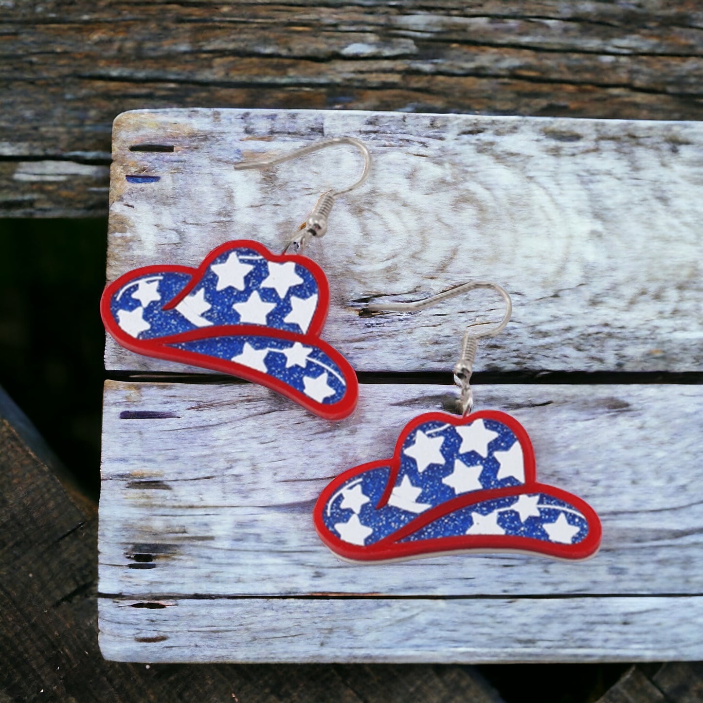 Riding To Freedom Western Earrings