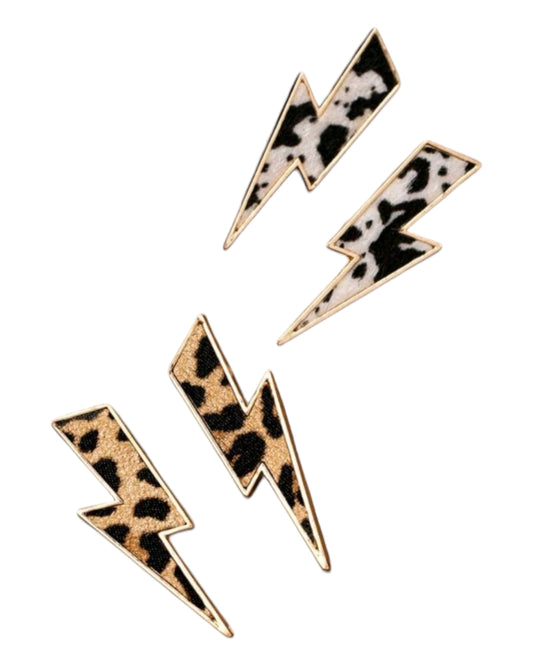 When Lightening Strikes Bolt Post Back Earrings