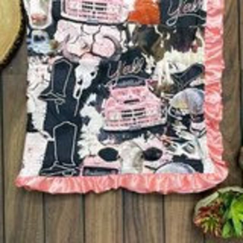 Armadillo and Rodeos Pink Minky Baby Blanket