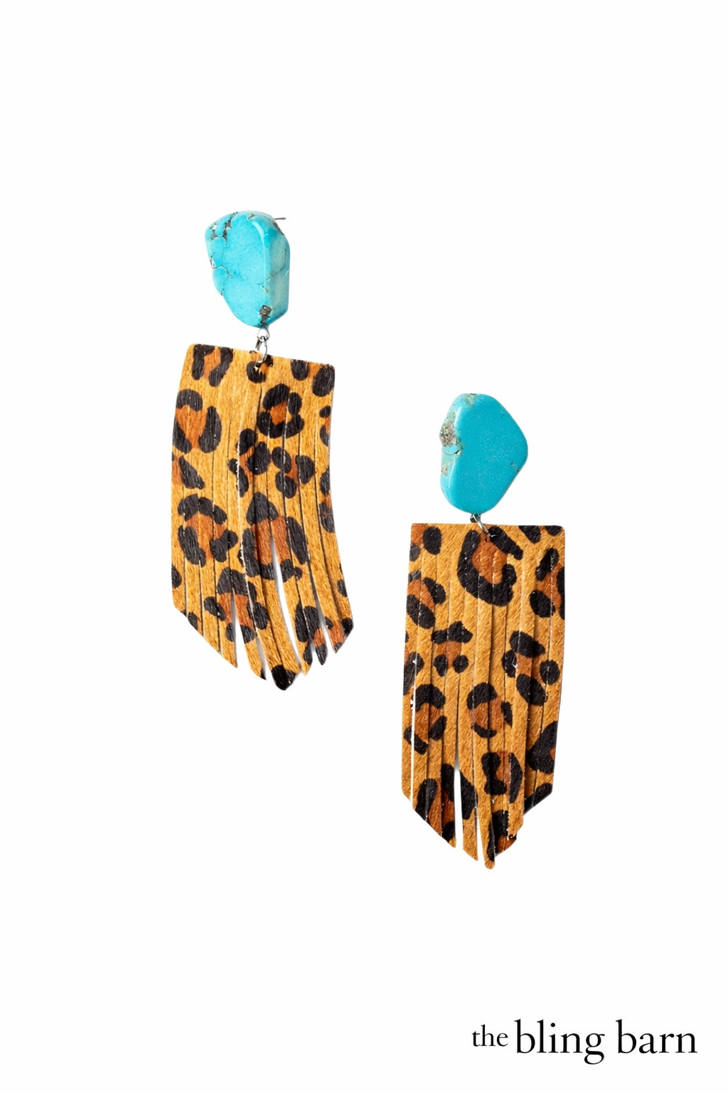 Wild Spur Fringe Earrings