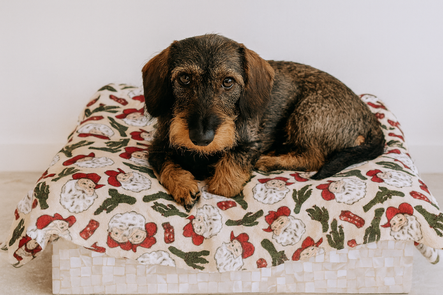 Western Christmas Lap Blanket – Cozy Cowgirl Holiday Throw Collection